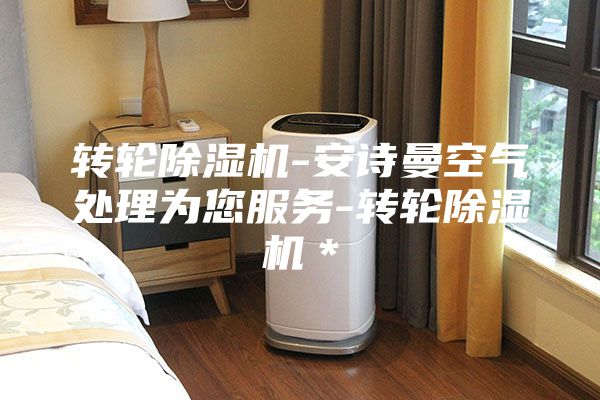轉(zhuǎn)輪除濕機-安詩曼空氣處理為您服務(wù)-轉(zhuǎn)輪除濕機＊