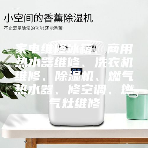 家電維修冰箱、商用熱水器維修、洗衣機(jī)維修、除濕機(jī)、燃?xì)鉄崴?、修空調(diào)、燃?xì)庠罹S修