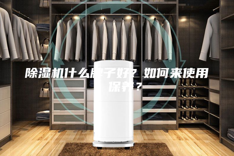 除濕機(jī)什么牌子好？如何來使用、保養(yǎng)？