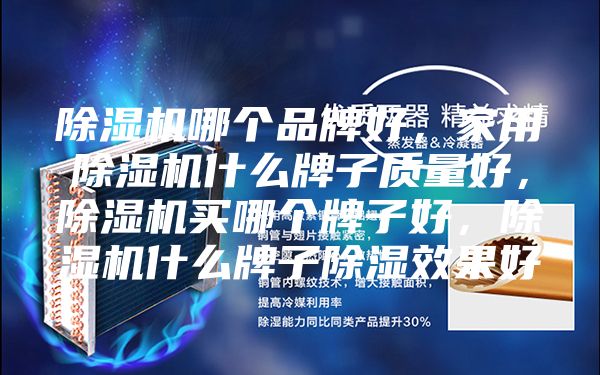 除濕機哪個品牌好，家用除濕機什么牌子質量好，除濕機買哪個牌子好，除濕機什么牌子除濕效果好