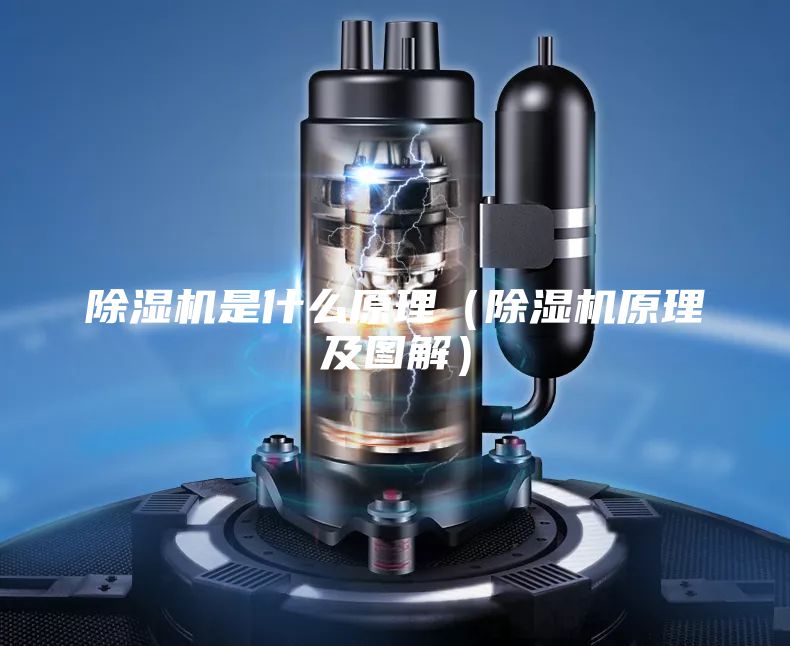除濕機(jī)是什么原理（除濕機(jī)原理及圖解）