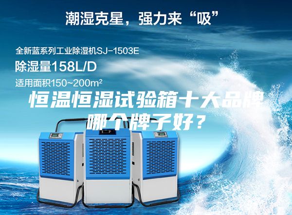 恒溫恒濕試驗(yàn)箱十大品牌哪個(gè)牌子好？