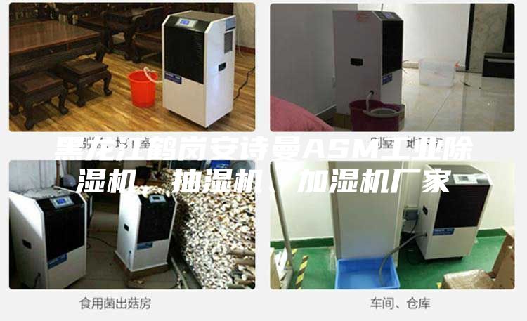 黑龍江鶴崗安詩(shī)曼ASM工業(yè)除濕機(jī)，抽濕機(jī)、加濕機(jī)廠家