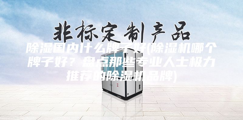 除濕國(guó)內(nèi)什么牌子好(除濕機(jī)哪個(gè)牌子好？盤點(diǎn)那些專業(yè)人士極力推薦的除濕機(jī)品牌)
