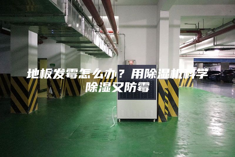 地板發(fā)霉怎么辦？用除濕機科學除濕又防霉