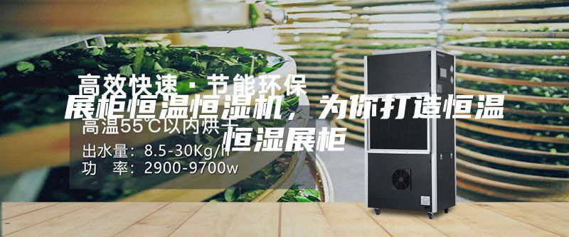 展柜恒溫恒濕機(jī)，為你打造恒溫恒濕展柜