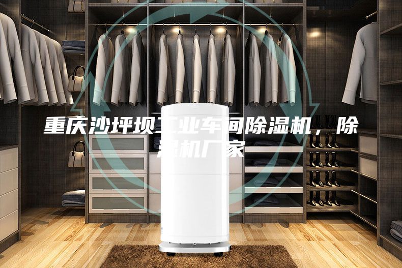 重慶沙坪壩工業(yè)車間除濕機(jī)，除濕機(jī)廠家