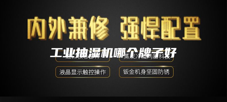 工業(yè)抽濕機哪個牌子好