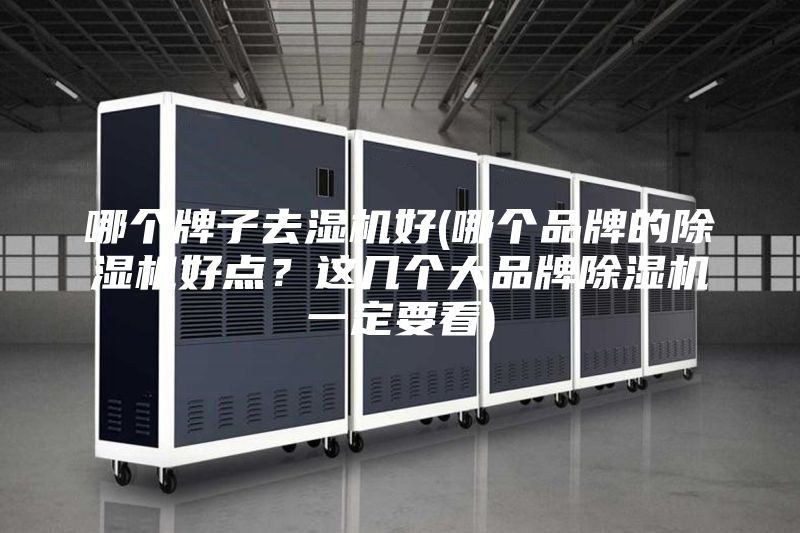 哪個(gè)牌子去濕機(jī)好(哪個(gè)品牌的除濕機(jī)好點(diǎn)？這幾個(gè)大品牌除濕機(jī)一定要看)