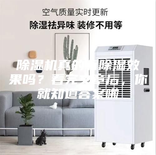 除濕機(jī)真的有除濕效果嗎？看完文章后，你就知道答案啦