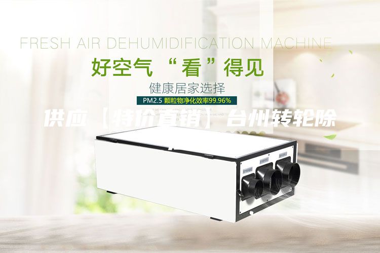 供應(yīng)【特價直銷】臺州轉(zhuǎn)輪除濕機(jī)