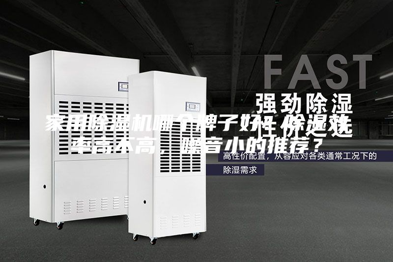 家用除濕機哪個牌子好？除濕效率高不高，噪音小的推薦？