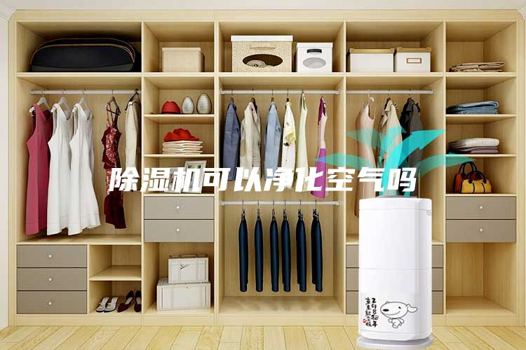 除濕機(jī)可以?xún)艋諝鈫?/></p>
                            <p style=