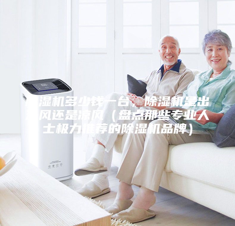 除濕機(jī)多少錢一臺(tái)，除濕機(jī)是出熱風(fēng)還是涼風(fēng)（盤點(diǎn)那些專業(yè)人士極力推薦的除濕機(jī)品牌）
