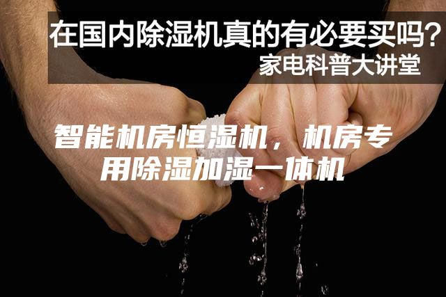 智能機(jī)房恒濕機(jī)，機(jī)房專用除濕加濕一體機(jī)
