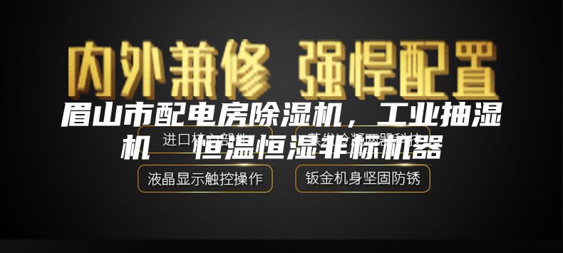 眉山市配電房除濕機，工業(yè)抽濕機  恒溫恒濕非標(biāo)機器