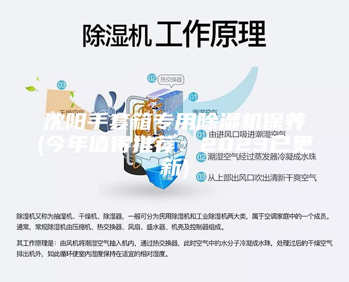 沈陽(yáng)手套箱專(zhuān)用除濕機(jī)保養(yǎng)(今年值得推薦：2023已更新)
