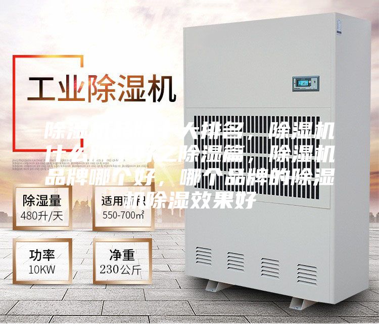 除濕機(jī)品牌十大排名，除濕機(jī)什么牌子好之除濕篇，除濕機(jī)品牌哪個(gè)好，哪個(gè)品牌的除濕機(jī)除濕效果好
