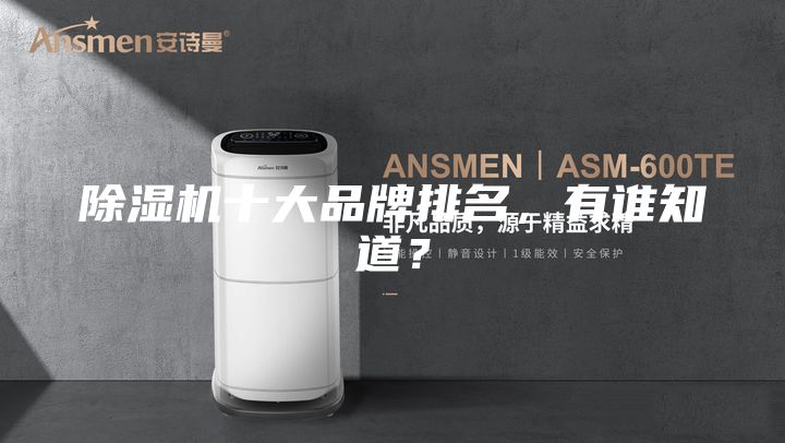 除濕機十大品牌排名，有誰知道？