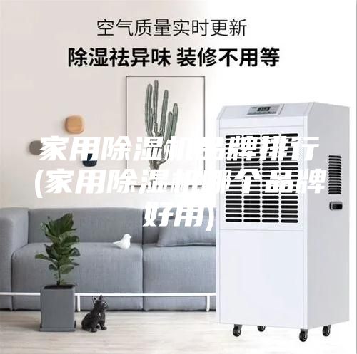 家用除濕機(jī)品牌排行(家用除濕機(jī)哪個品牌好用)