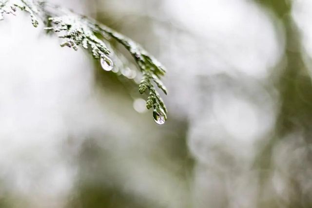 空氣濕度大帶來(lái)的危害有哪些，你知道嗎？