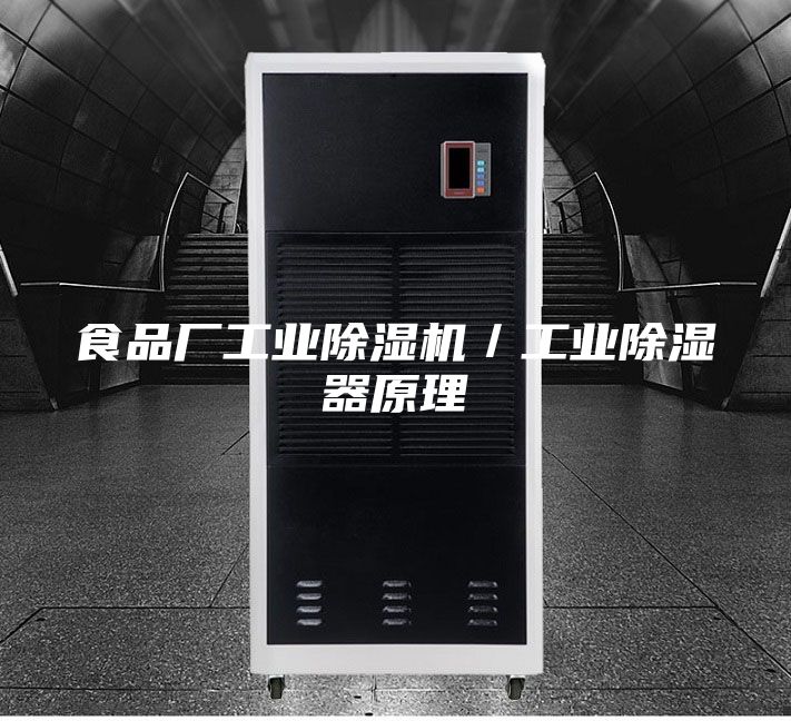食品廠工業(yè)除濕機／工業(yè)除濕器原理