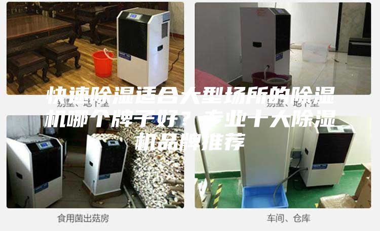 快速除濕適合大型場所的除濕機(jī)哪個(gè)牌子好？專業(yè)十大除濕機(jī)品牌推薦