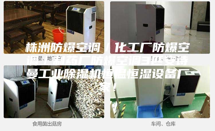 株洲防爆空調(diào)／化工廠防爆空調(diào)／制藥廠防爆空調(diào)3匹安詩曼工業(yè)除濕機恒溫恒濕設(shè)備廠家！