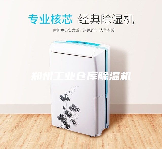 鄭州工業(yè)倉庫除濕機