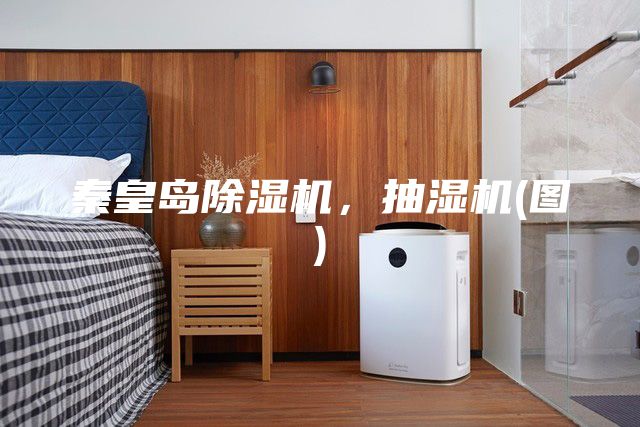 秦皇島除濕機(jī)，抽濕機(jī)(圖)