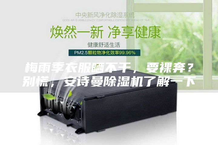 梅雨季衣服曬不干，要裸奔？別慌，安詩曼除濕機了解一下