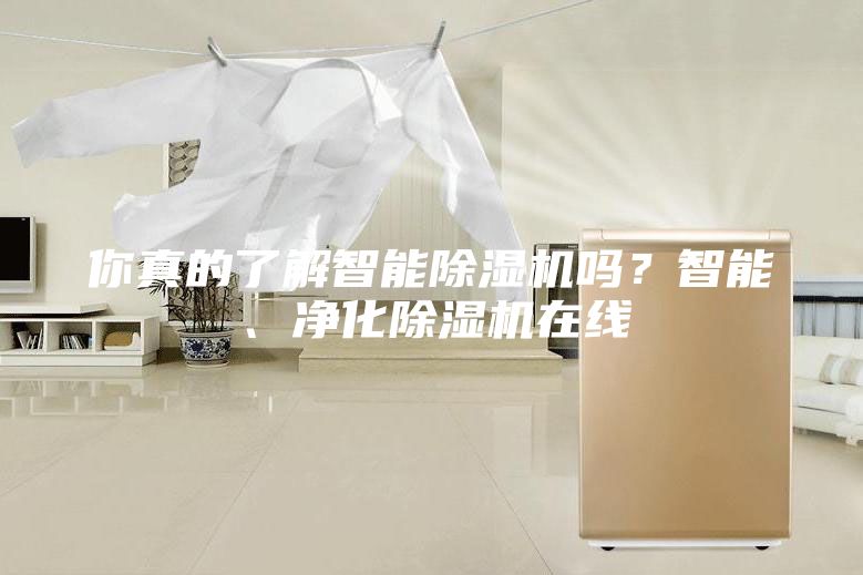 你真的了解智能除濕機嗎？智能、凈化除濕機在線