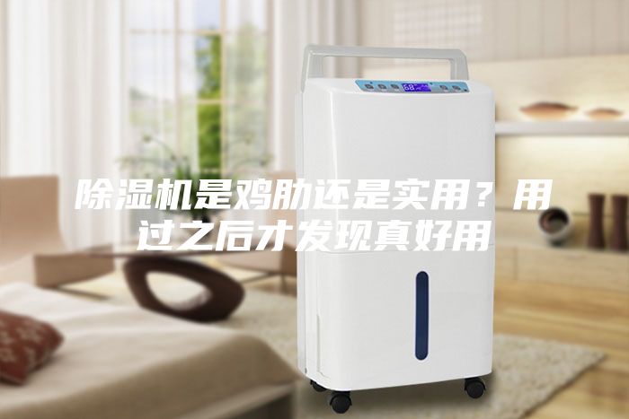 除濕機(jī)是雞肋還是實(shí)用？用過之后才發(fā)現(xiàn)真好用