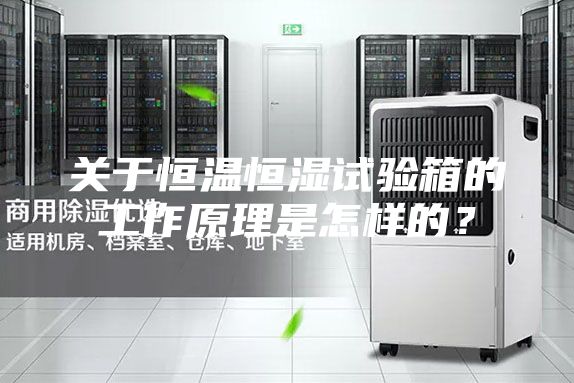 關于恒溫恒濕試驗箱的工作原理是怎樣的？
