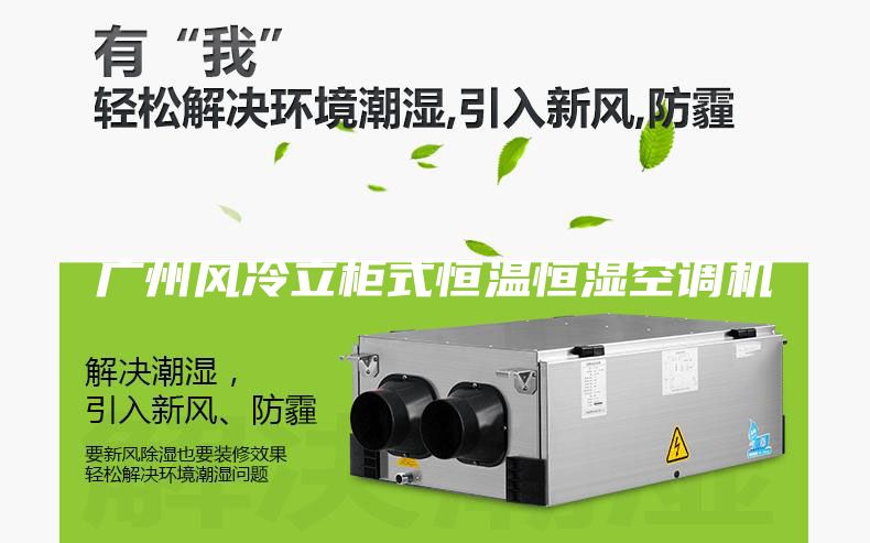 廣州風(fēng)冷立柜式恒溫恒濕空調(diào)機(jī)