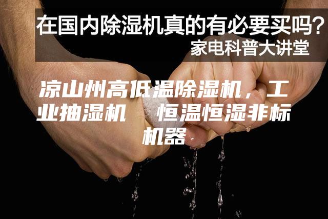 涼山州高低溫除濕機(jī)，工業(yè)抽濕機(jī)  恒溫恒濕非標(biāo)機(jī)器