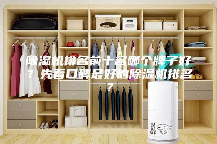 除濕機排名前十名哪個牌子好？先看口碑最好的除濕機排名？