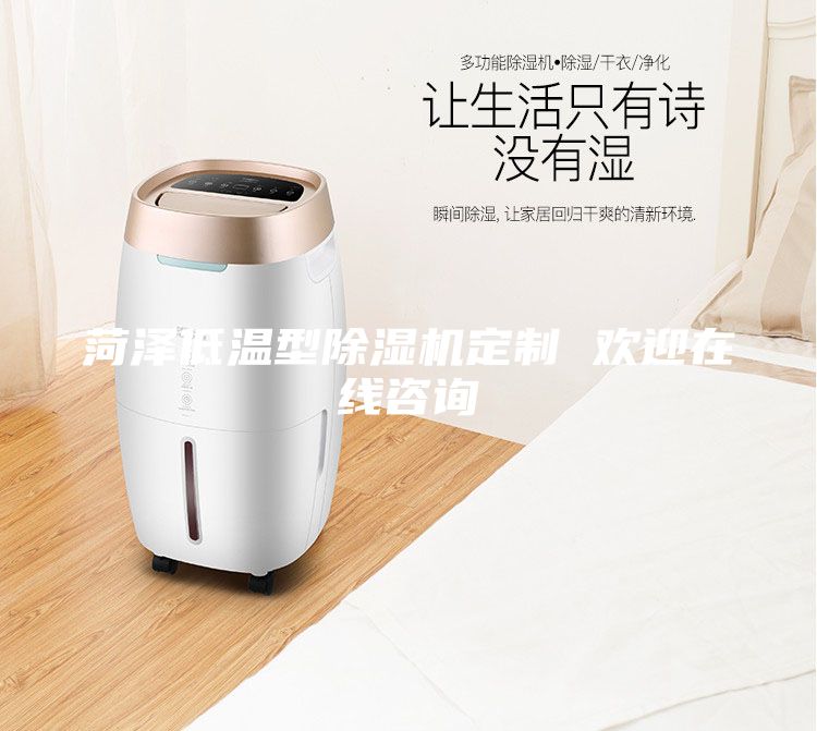 菏澤低溫型除濕機(jī)定制 歡迎在線咨詢