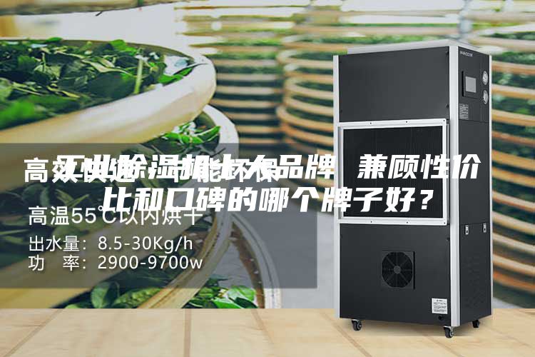 工業(yè)除濕機十大品牌 兼顧性價比和口碑的哪個牌子好？