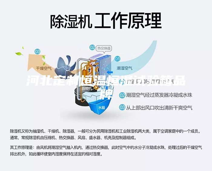 河北定制恒溫恒濕試驗(yàn)箱品牌