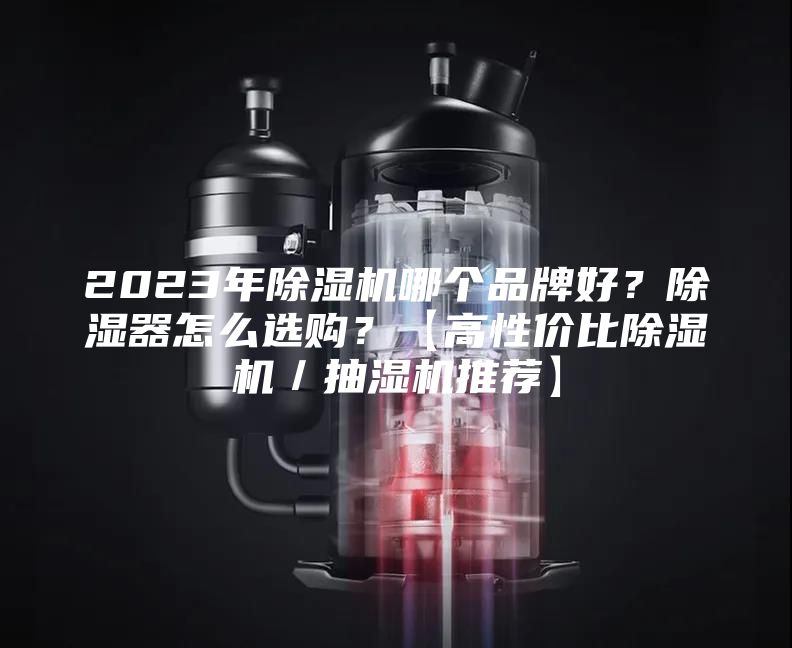 2023年除濕機哪個品牌好？除濕器怎么選購？【高性價比除濕機／抽濕機推薦】