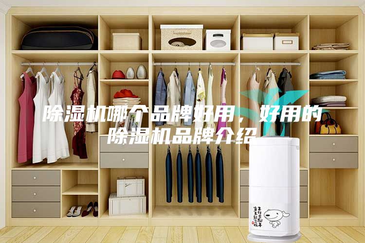 除濕機(jī)哪個(gè)品牌好用，好用的除濕機(jī)品牌介紹