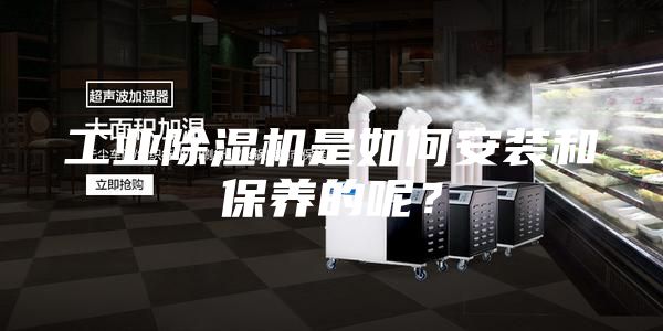工業(yè)除濕機(jī)是如何安裝和保養(yǎng)的呢？