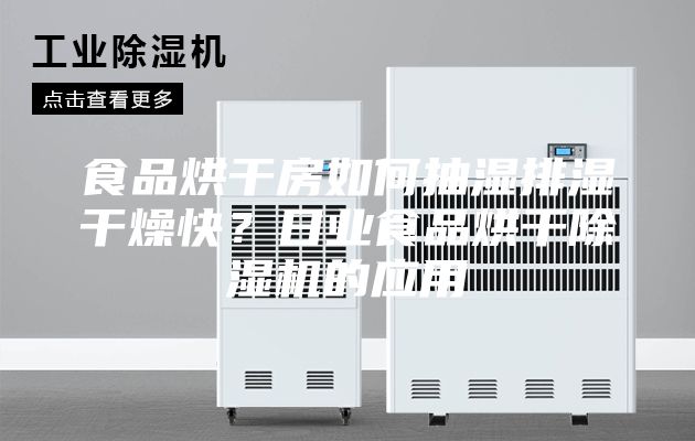 食品烘干房如何抽濕排濕干燥快？日業(yè)食品烘干除濕機的應(yīng)用