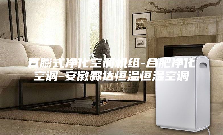 直膨式凈化空調(diào)機組-合肥凈化空調(diào)-安徽霖達恒溫恒濕空調(diào)