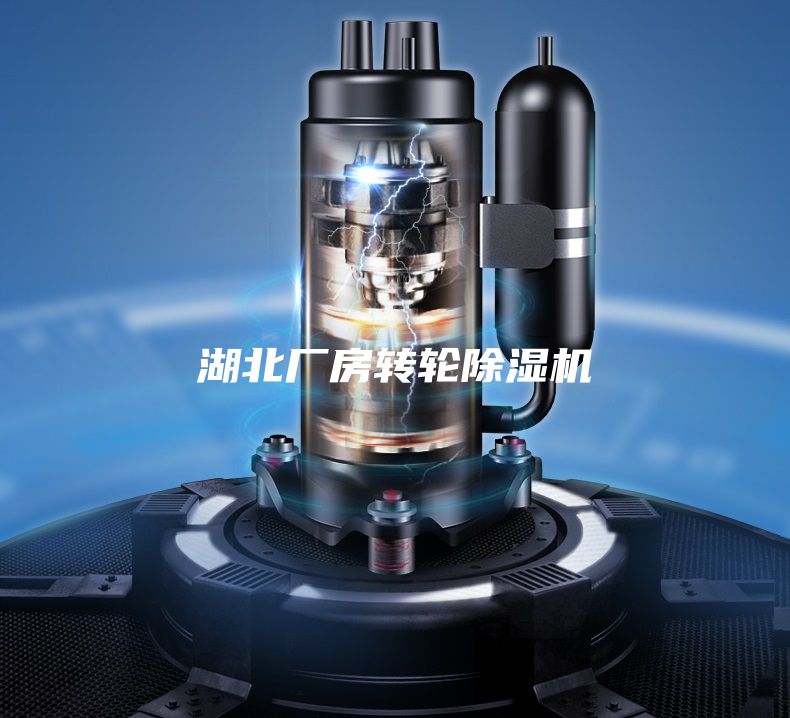 湖北廠房轉(zhuǎn)輪除濕機(jī)