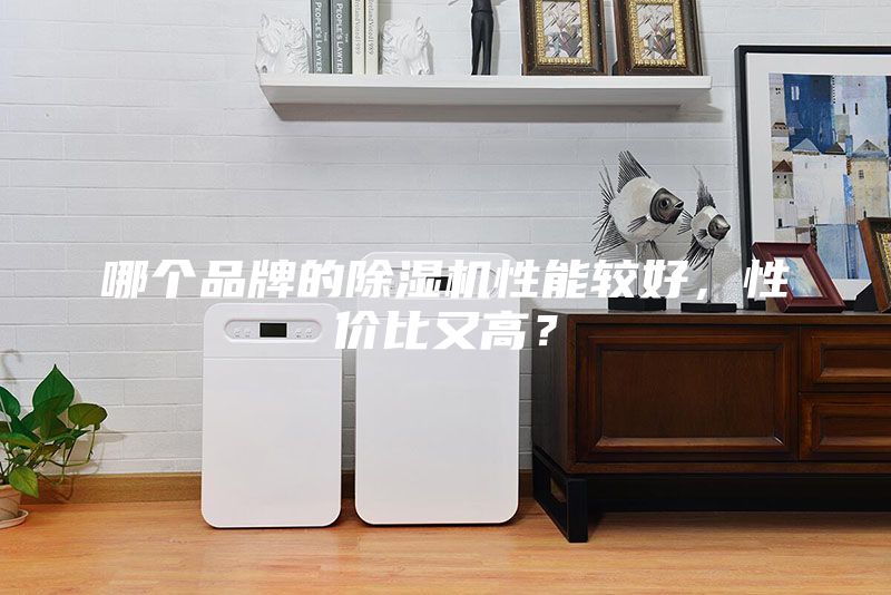 哪個品牌的除濕機性能較好，性價比又高？