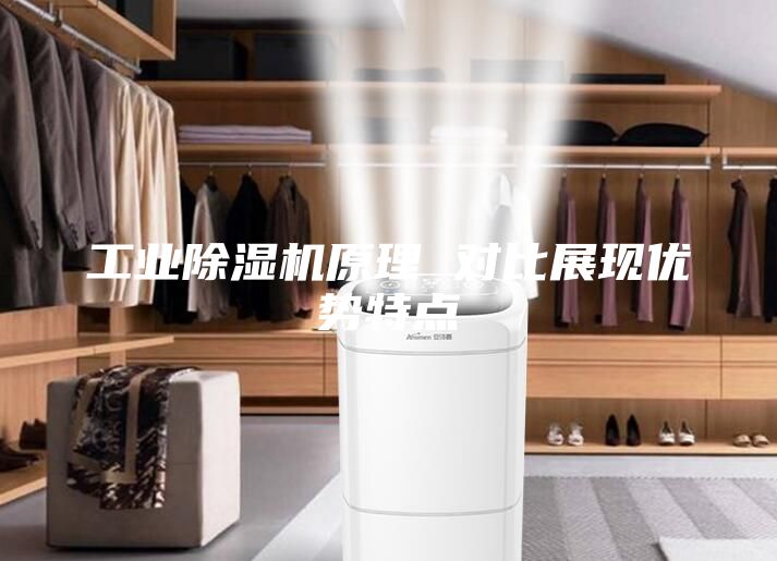 工業(yè)除濕機(jī)原理 對(duì)比展現(xiàn)優(yōu)勢特點(diǎn)