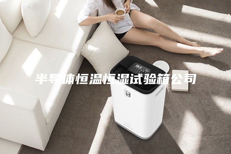 半導(dǎo)體恒溫恒濕試驗箱公司