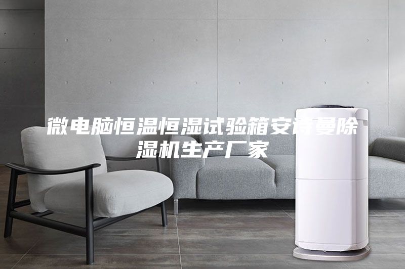 微電腦恒溫恒濕試驗箱安詩曼除濕機生產(chǎn)廠家